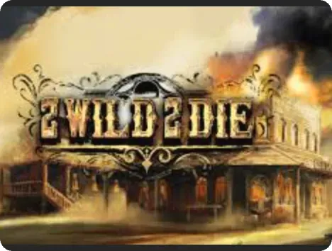 2 Wild 2 Die slot by Hacksaw Gaming with gunslinger theme and multiplier wilds proposal 12,500x max win